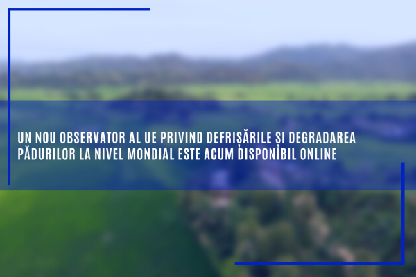 defrișarea și degradarea padurilor